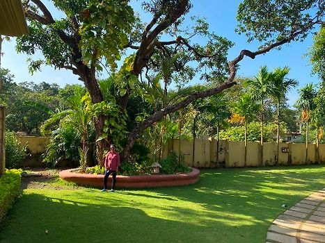 Greenery 